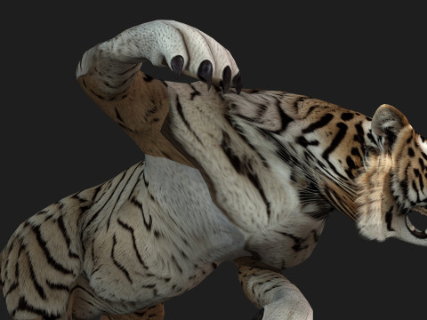 TigerA3 3Dモデル