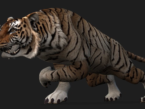 TigerA3 3Dモデル