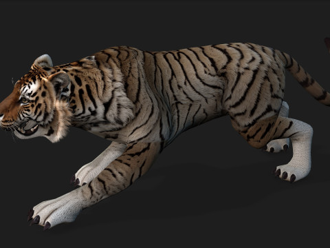 TigerA3 3Dモデル