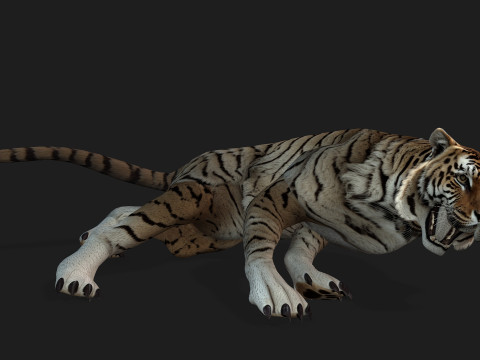 TigerA3 3Dモデル
