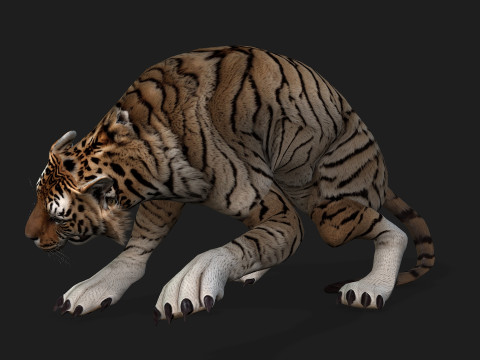 TigerA3 3Dモデル