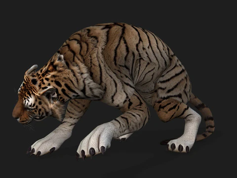 ТигрА3 3D Модель