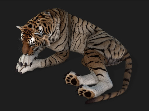 TigerA3 3Dモデル