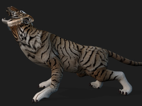 TigerA3 3Dモデル
