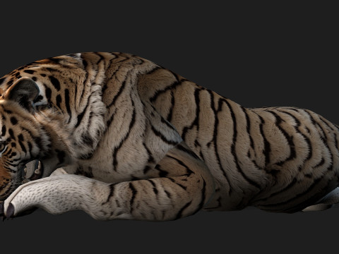 TigerA3 3Dモデル