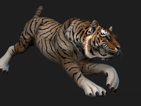 TigerA3 3Dモデル
