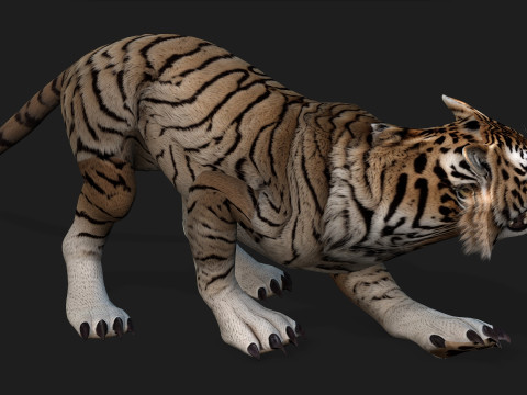 TigerA3 3Dモデル