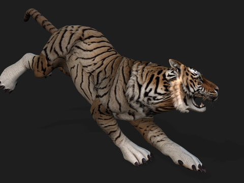 TigerA3 3Dモデル