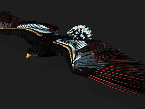 EagleA Model 3D