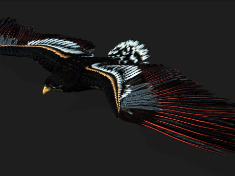 EagleA 3D Model