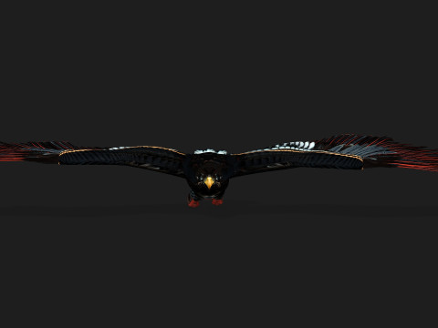 EagleA Model 3D