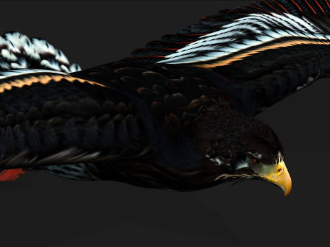 EagleA Model 3D