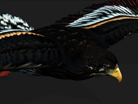 EagleA 3D Model
