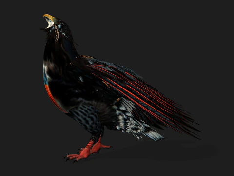 EagleA 3D Model