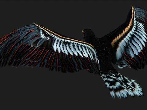 EagleA 3D Model