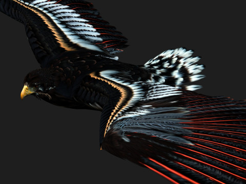 EagleA Model 3D