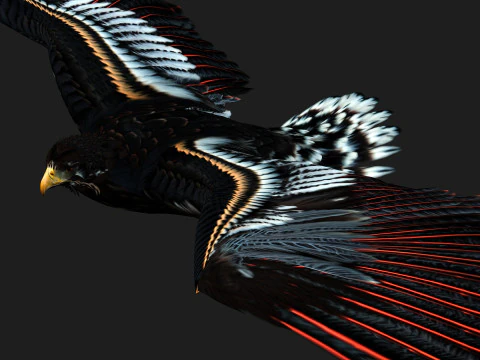 EagleA 3D Model