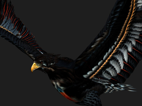 EagleA Model 3D