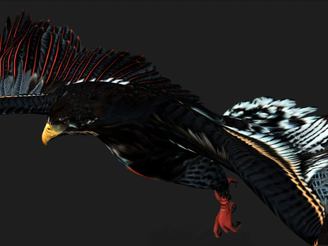 EagleA 3D Model