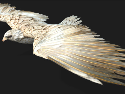 EagleA2 Modèle 3D