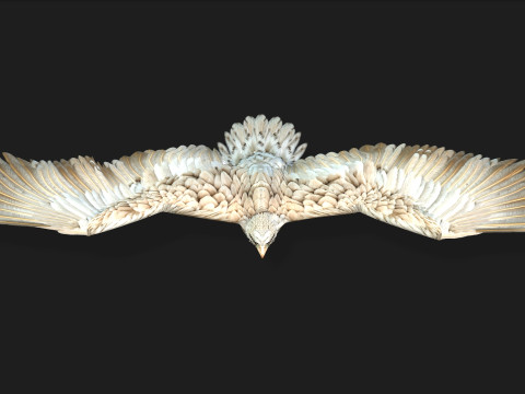 EagleA2 Modèle 3D