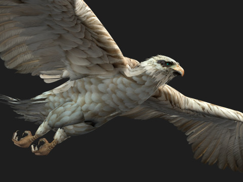 EagleA2 Modèle 3D