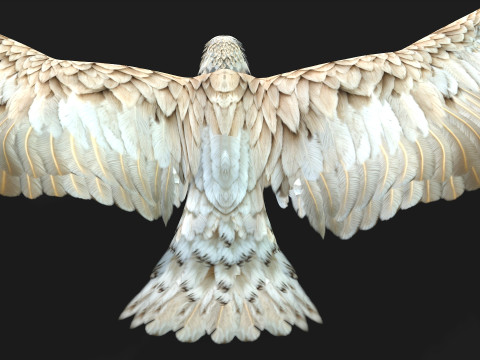 EagleA2 Modèle 3D