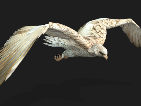 EagleA2 Modèle 3D