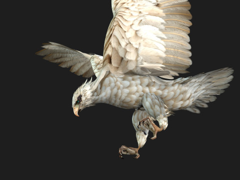 EagleA2 Modèle 3D