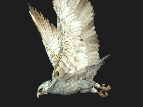EagleA2 Modèle 3D