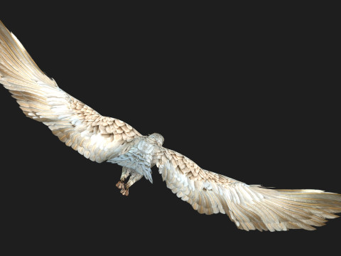 EagleA2 Modèle 3D