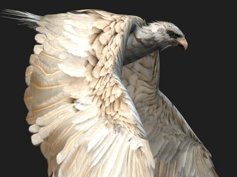EagleA2 Modèle 3D