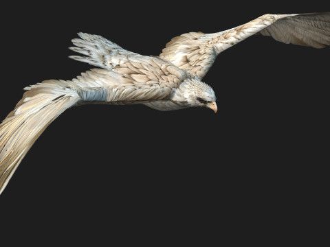 EagleA2 Modèle 3D