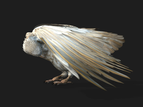 EagleA2 Modèle 3D