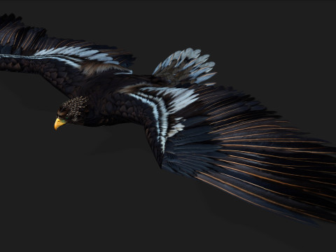 EagleA3 Modello 3D