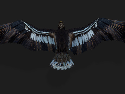 EagleA3 Modello 3D