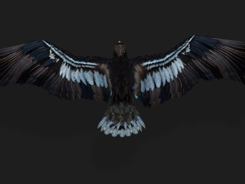 &Aacute;guiaA3 Modelo 3D