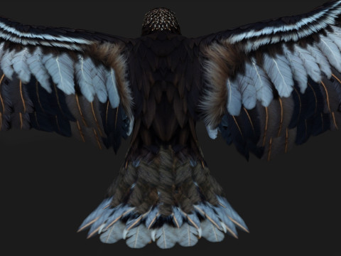 EagleA3 Modello 3D