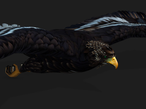 EagleA3 Modello 3D