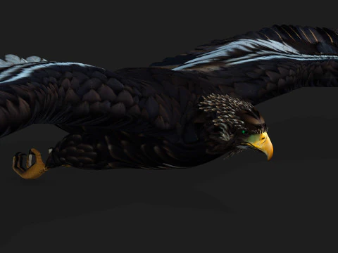 &Aacute;guiaA3 Modelo 3D