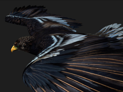 EagleA3 Modello 3D