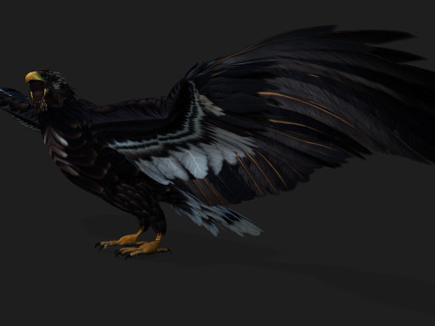 EagleA3 Modello 3D