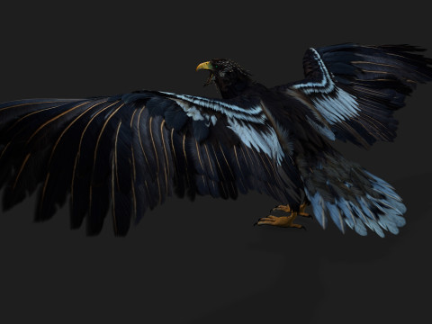 EagleA3 Modello 3D