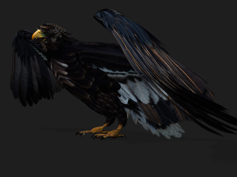 EagleA3 Modello 3D