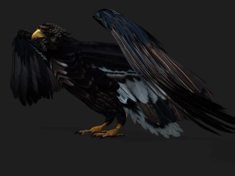 &Aacute;guiaA3 Modelo 3D