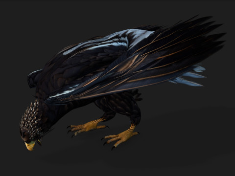 EagleA3 Modello 3D