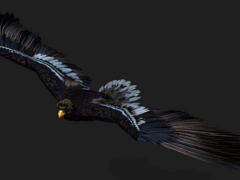 EagleA3 Modello 3D
