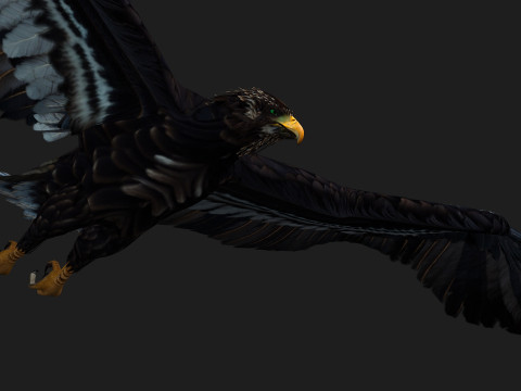 EagleA3 Modello 3D