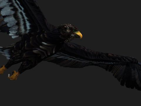 &Aacute;guiaA3 Modelo 3D