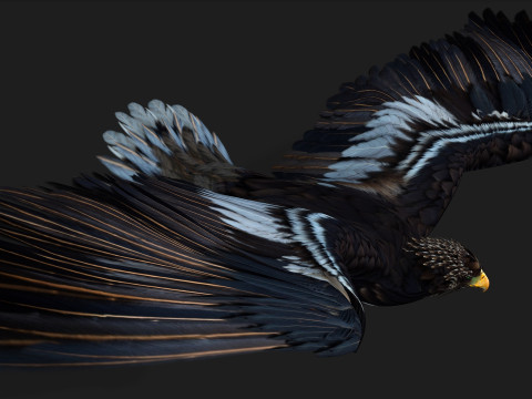 EagleA3 Modello 3D
